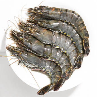 블랙타이거새우,얼룩새우