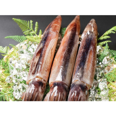 원양산 선동 포크오징어 (트롤) 2L