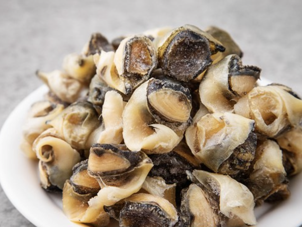 자숙 참소라살(피뿔고동살) 2L