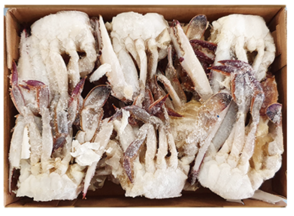 중국산 절단꽃게 3L