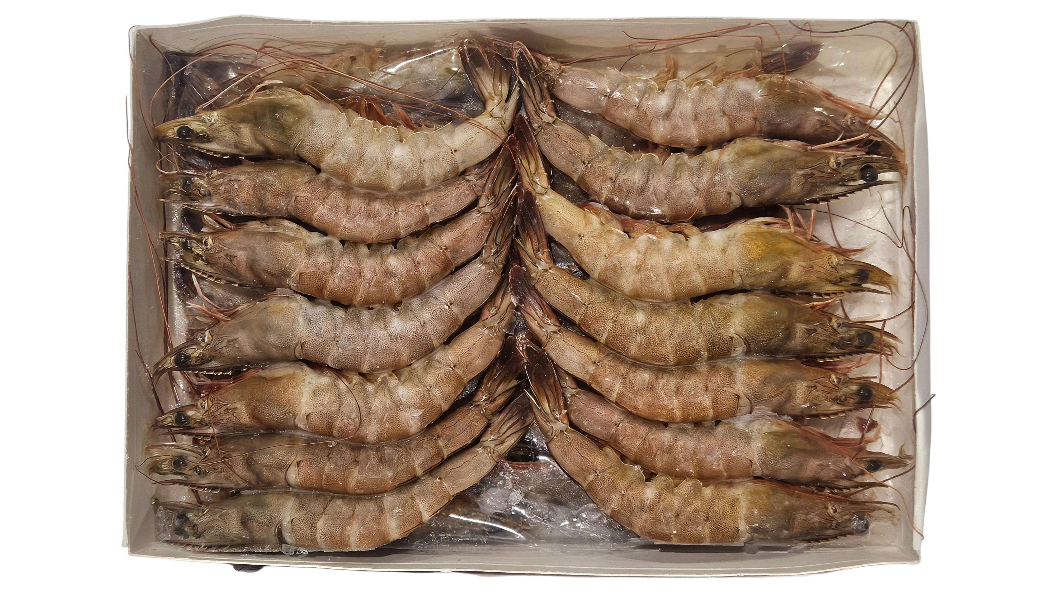 흰다리새우, 중하새우 30미 (500g, 말레이시아)