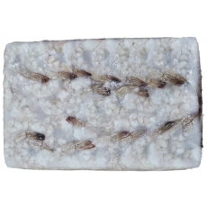 두절탈각새우(PDTO, 1.8kg, 중국) 21/25