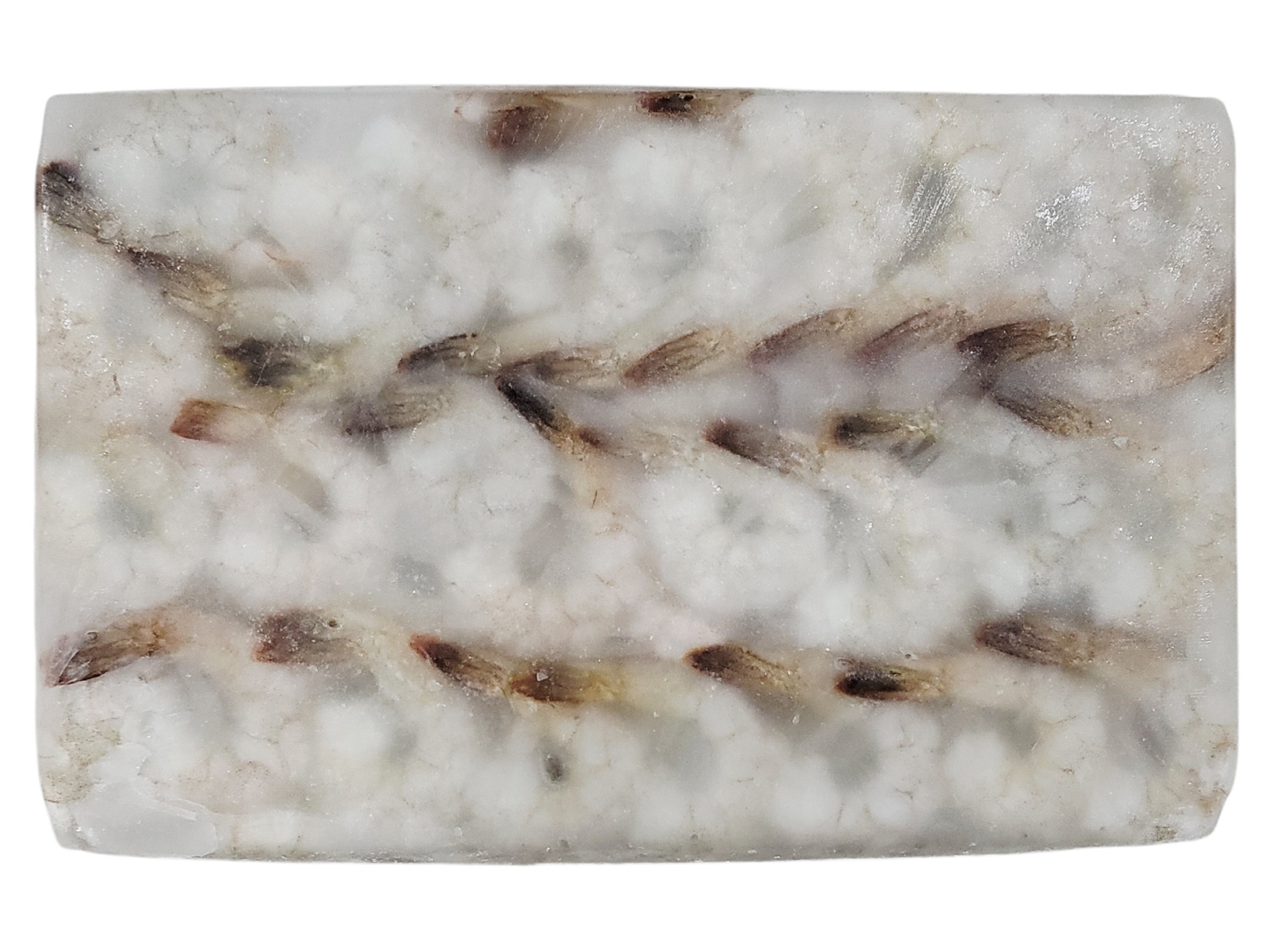 두절탈각새우(PDTO, 1.8kg, 중국) 31/40