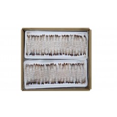 노바시새우/ 튀김용손질새우 40미