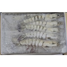 블랙타이거새우, 냉동얼룩새우 15미 (말레이시아, 대하새우)