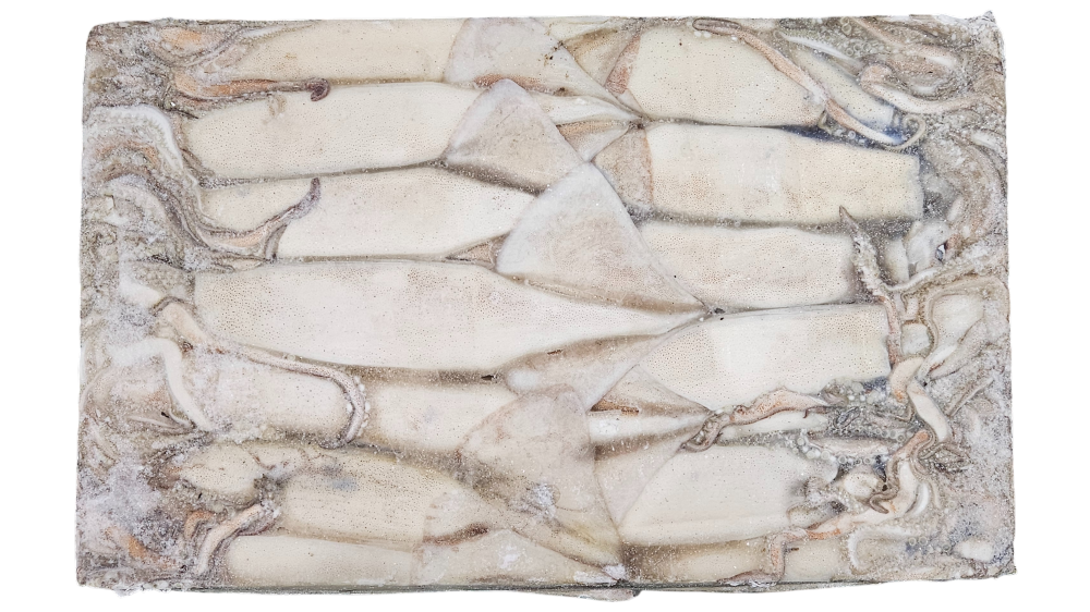 선동 포크오징어 (채낚, 원양산) L