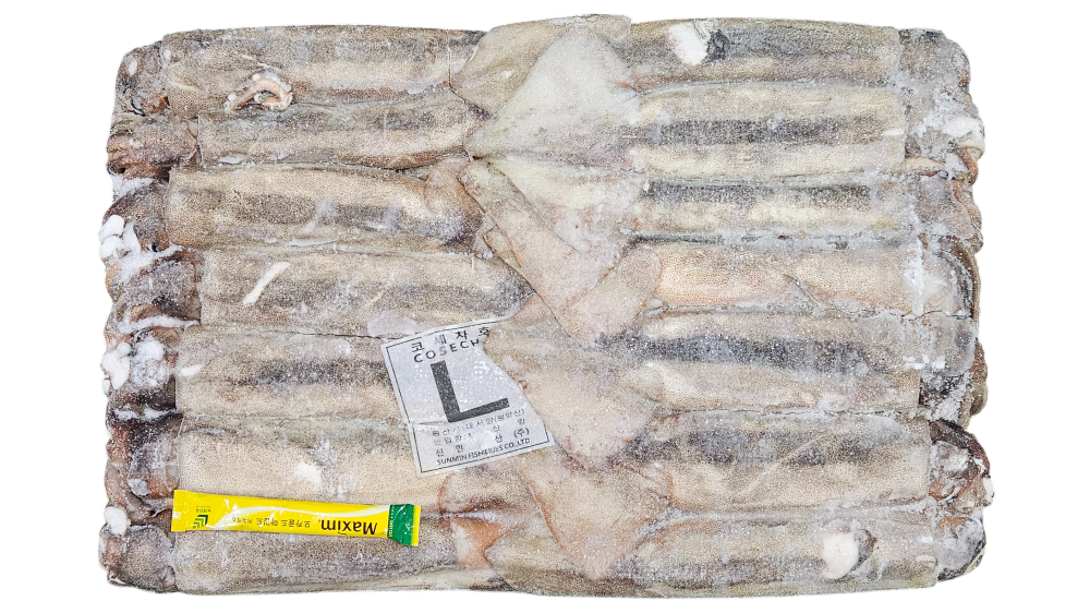 선동 포크오징어 (채낚, 원양산) L