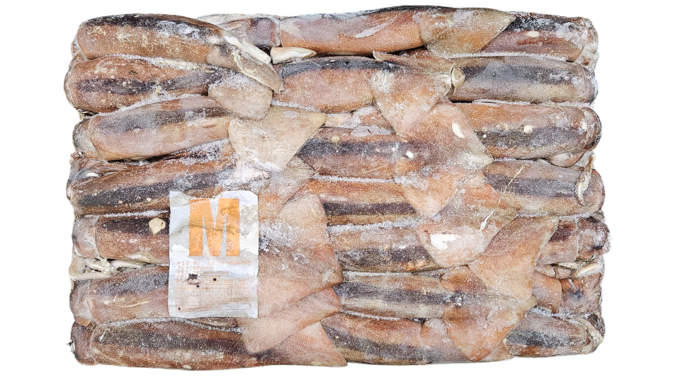 선동 포크오징어 (채낚, 원양산) M