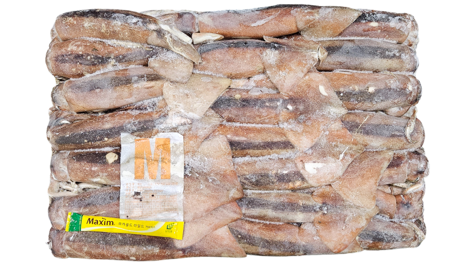 선동 포크오징어 (채낚, 원양산) M