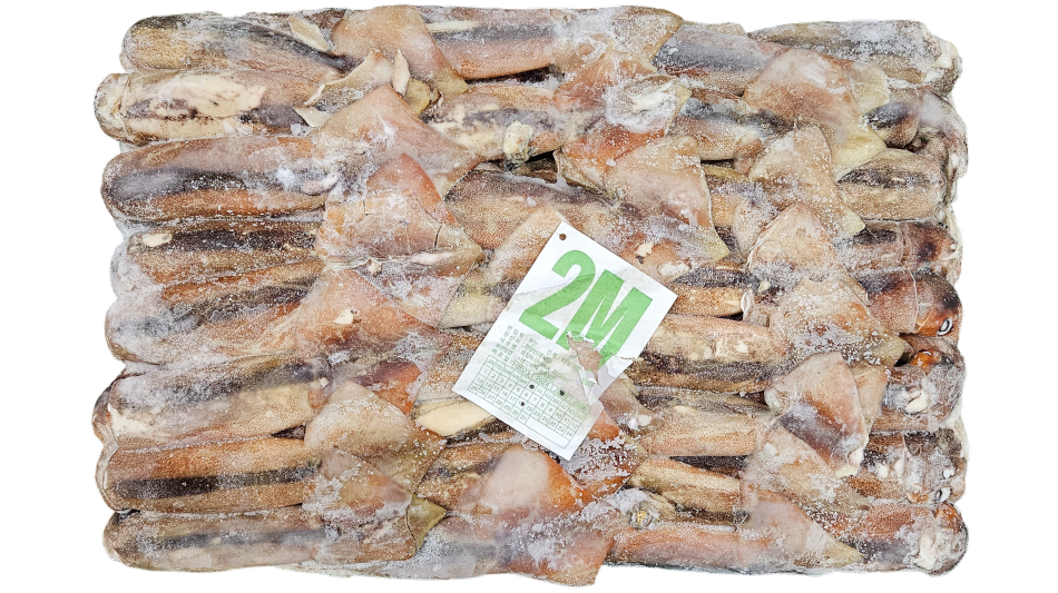 선동 포크오징어 (채낚, 원양산) 2M