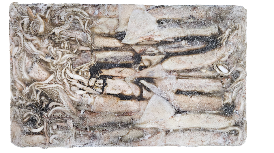 선동 포크오징어 (채낚, 원양산) 2M