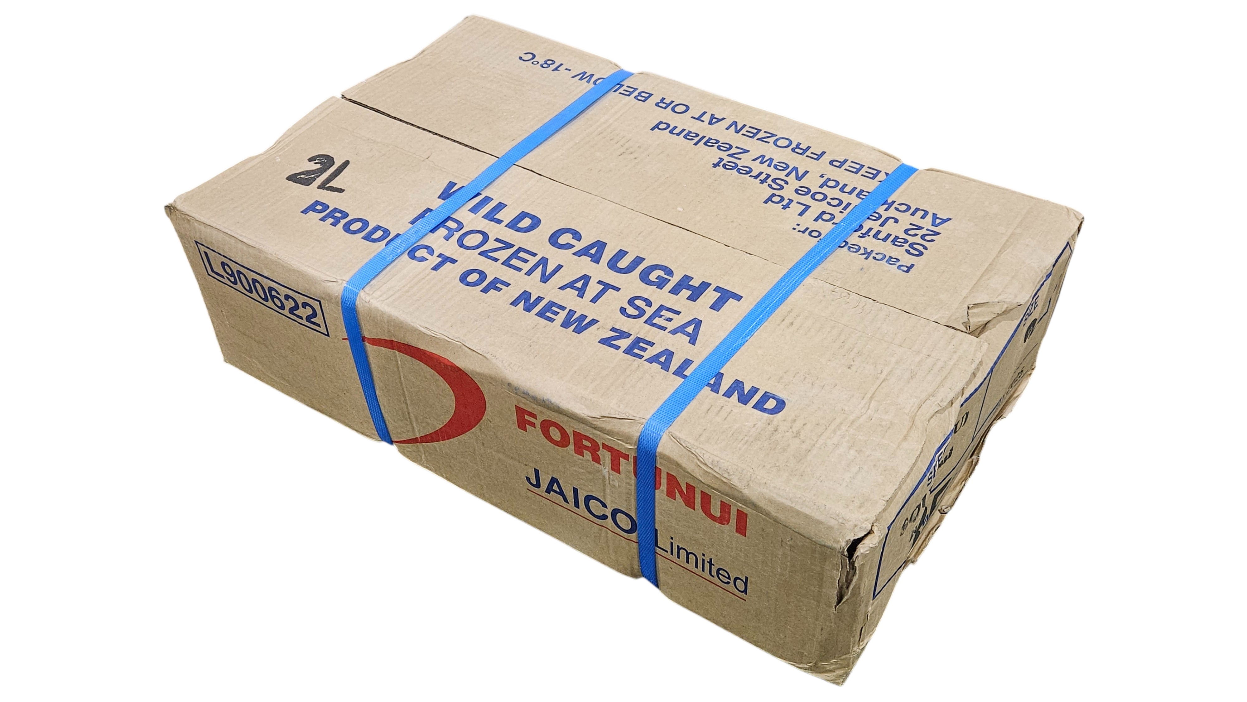 뉴질랜드 선동 오징어 (뉴지 오징어) 2L