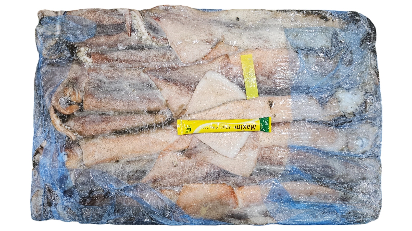 뉴질랜드 선동 오징어 (뉴지 오징어) 2L