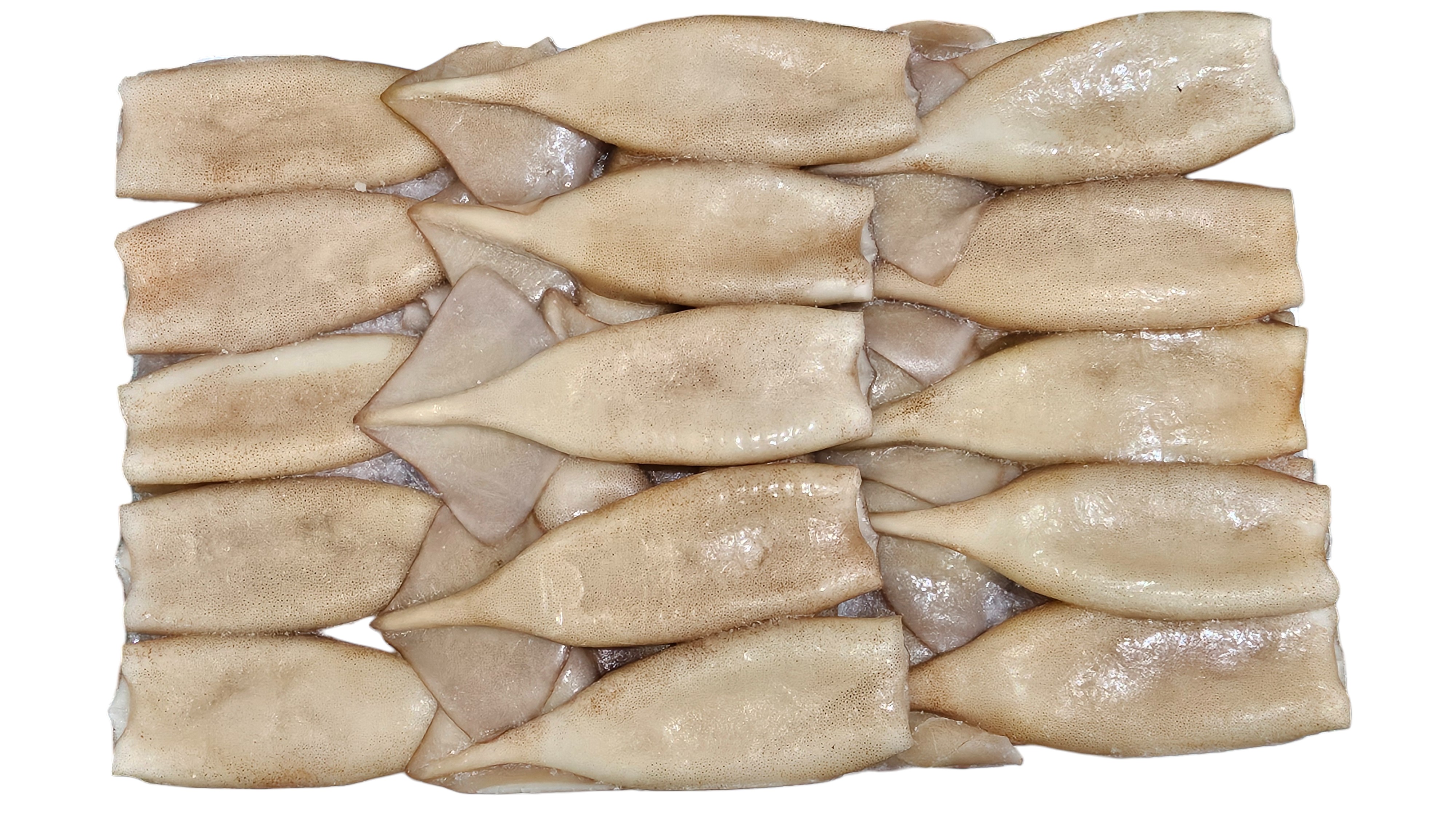 손질 튜브오징어(다리없음) 120/150