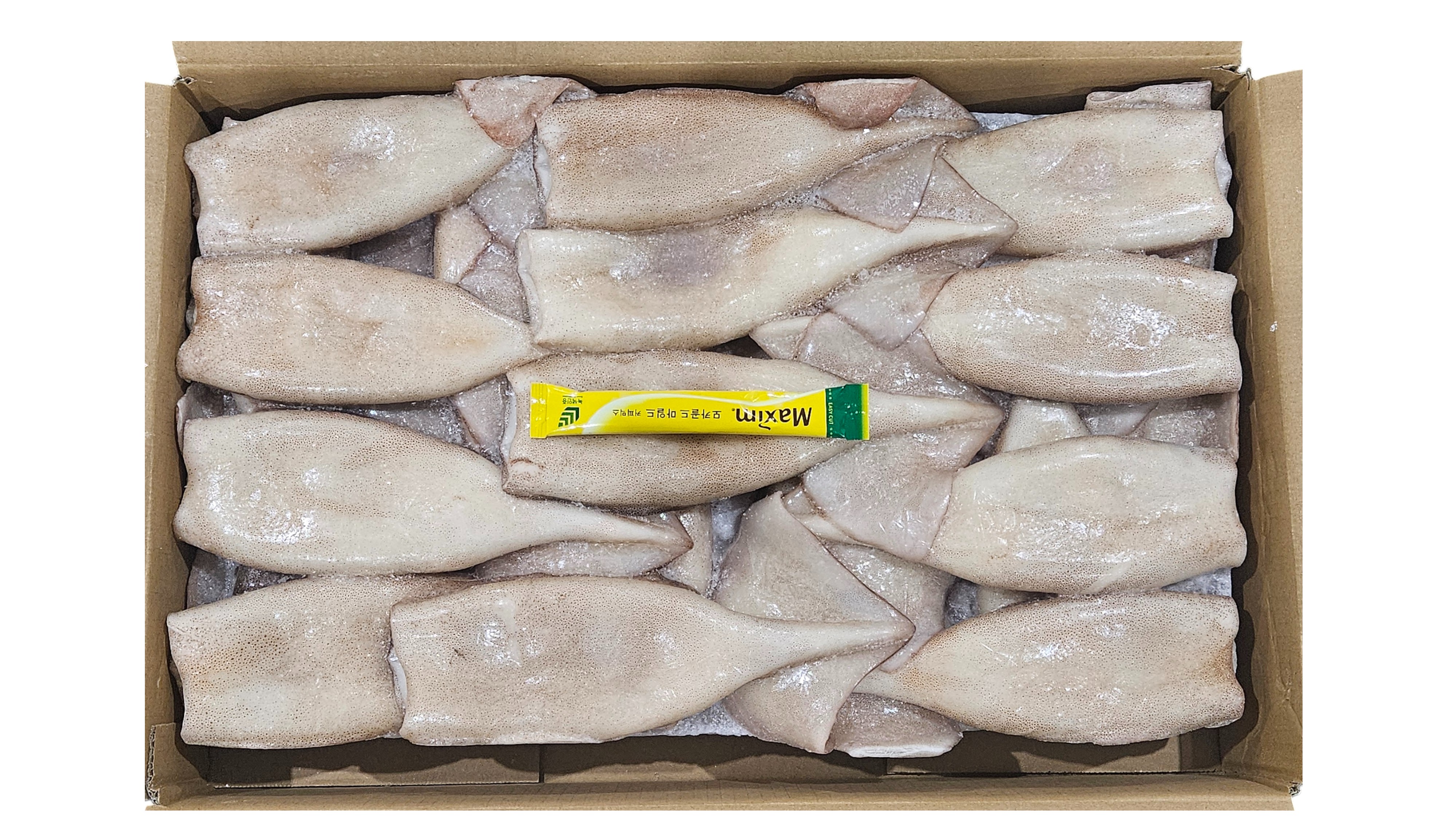 손질 튜브오징어(다리없음) 150/170