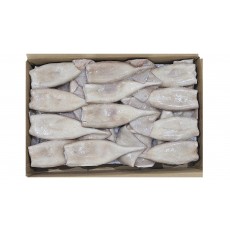 손질 튜브오징어(다리없음) 150/170