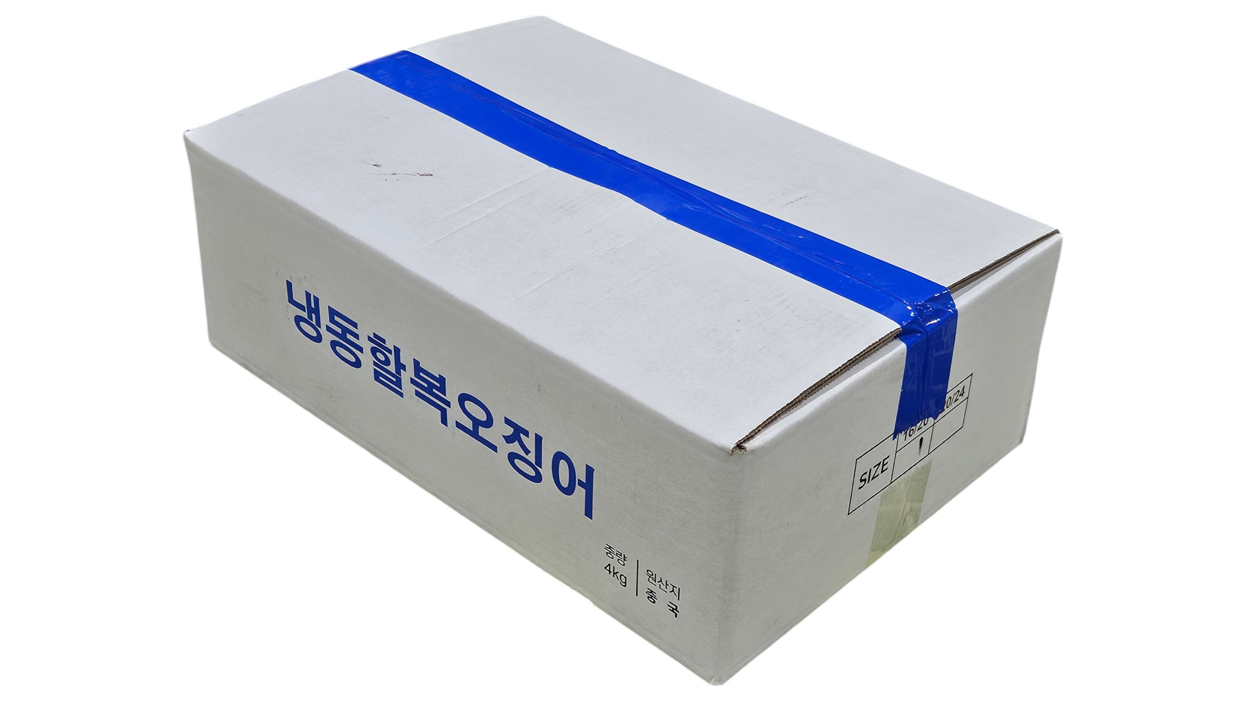 손질오징어 (할복오징어, 무탈피) 16/19미