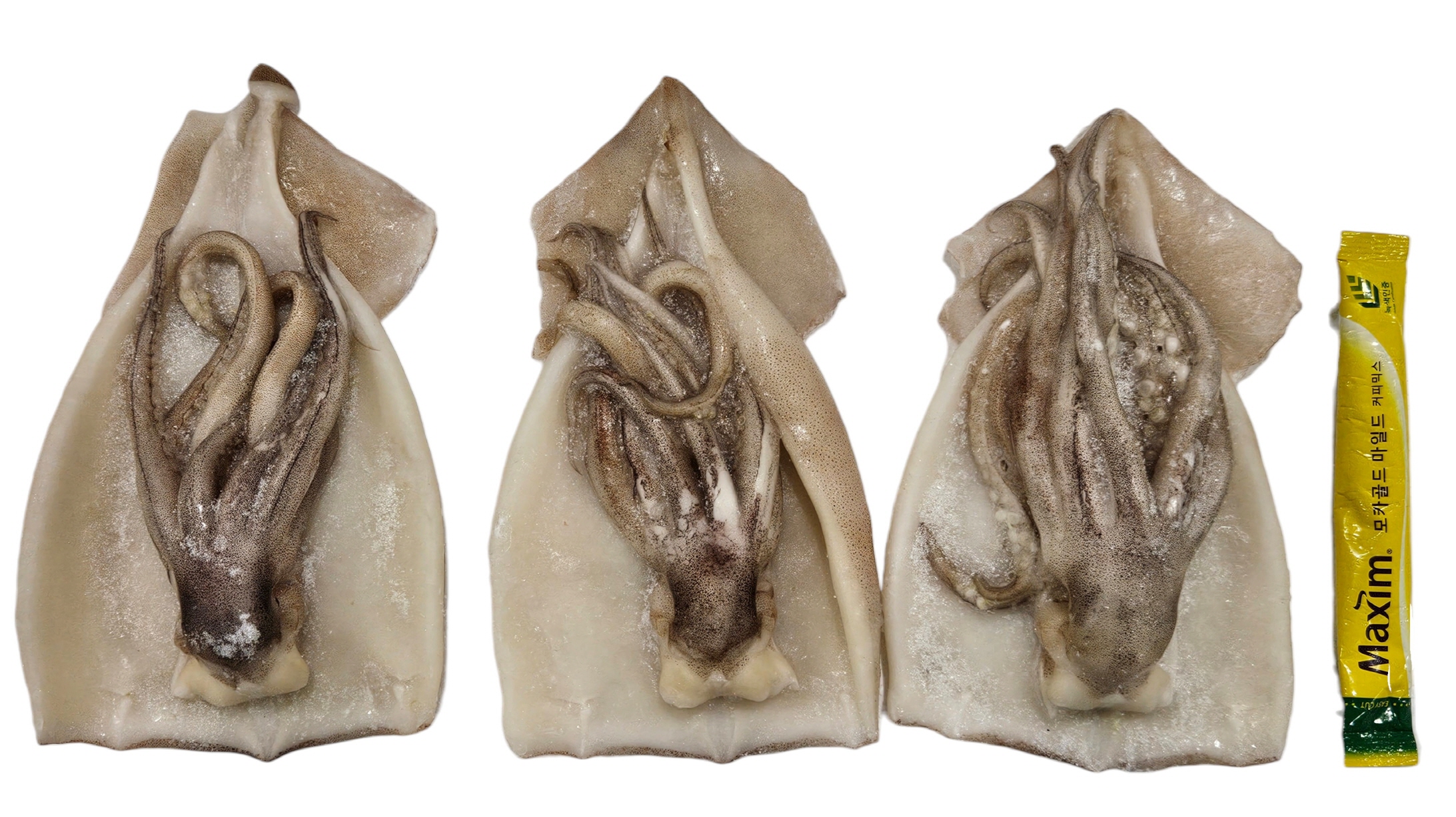 손질오징어 (할복오징어, 무탈피) 16/19미