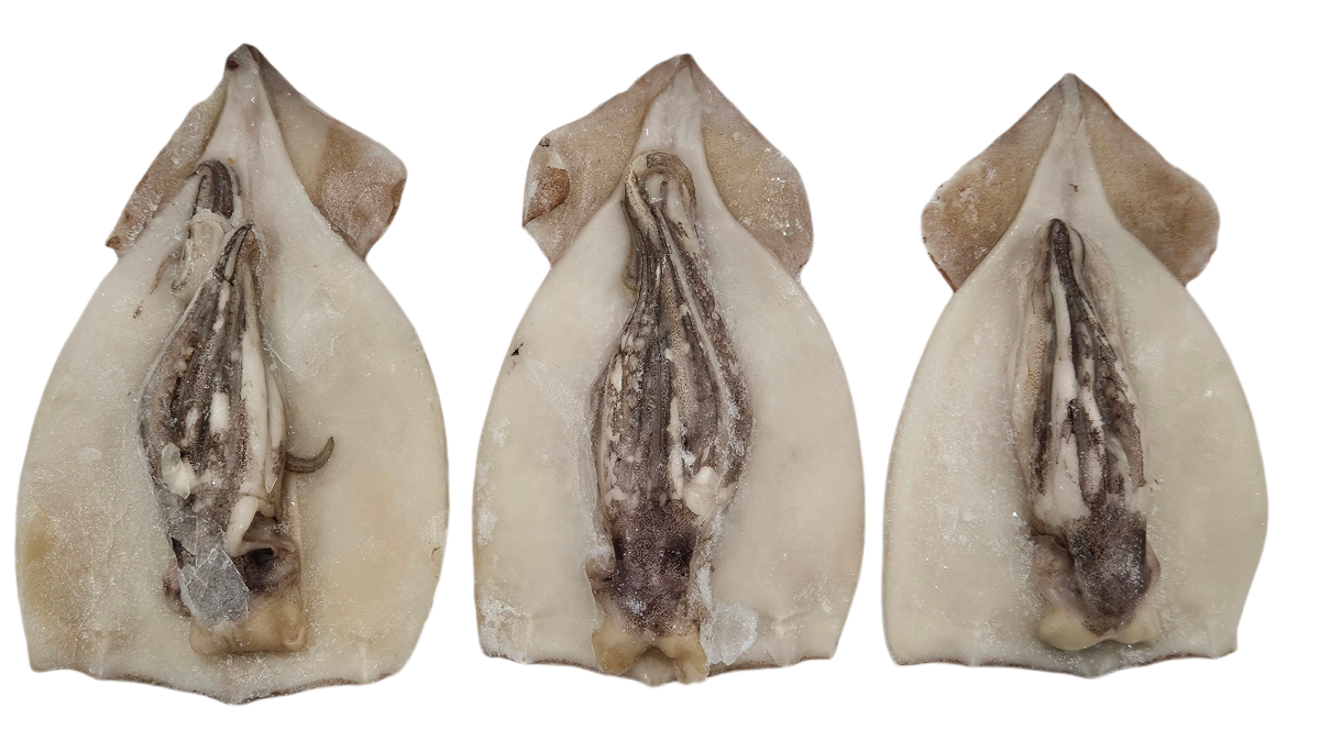 손질오징어 (할복오징어, 무탈피) 29/32미