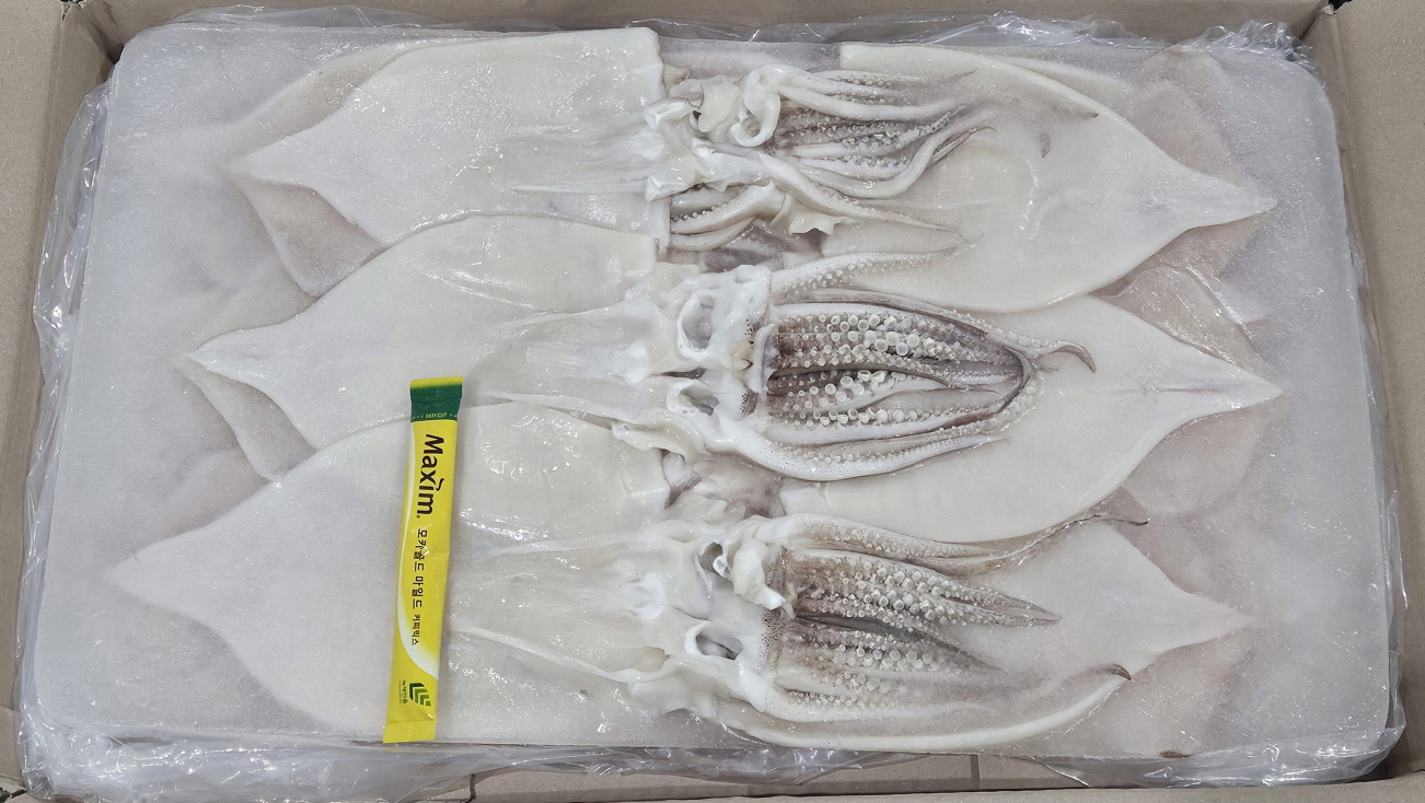 원양산 할복 오징어 15/16미 (탈피)