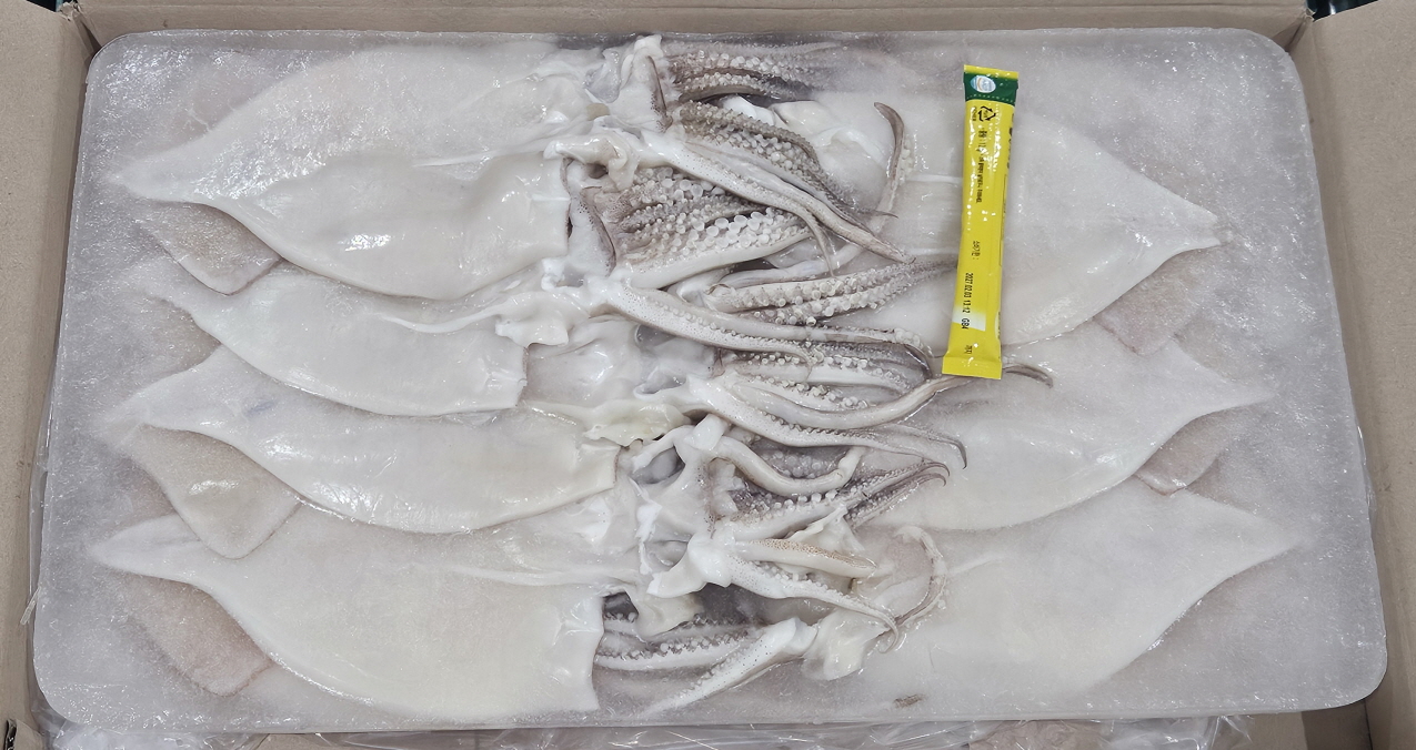 원양산 무탈피 할복 오징어 15/16미