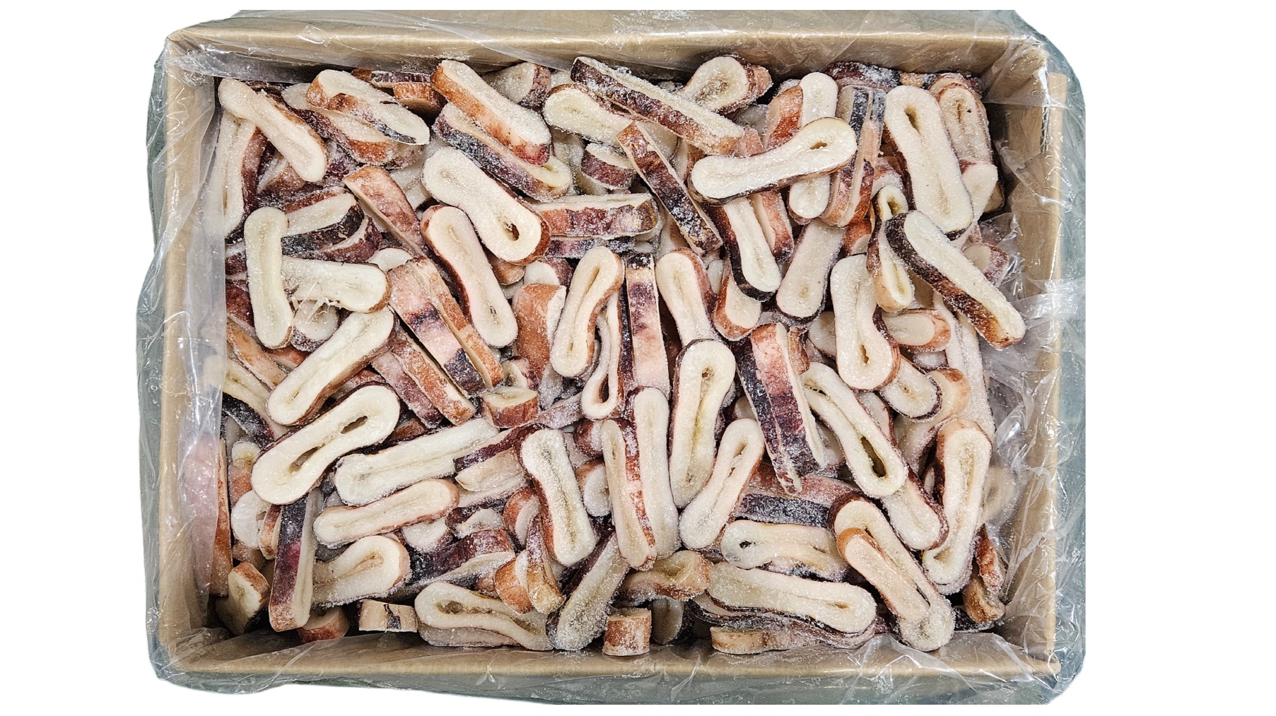 오징어링 (무탈피, 비자숙)