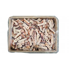 오징어링 (무탈피, 비자숙)