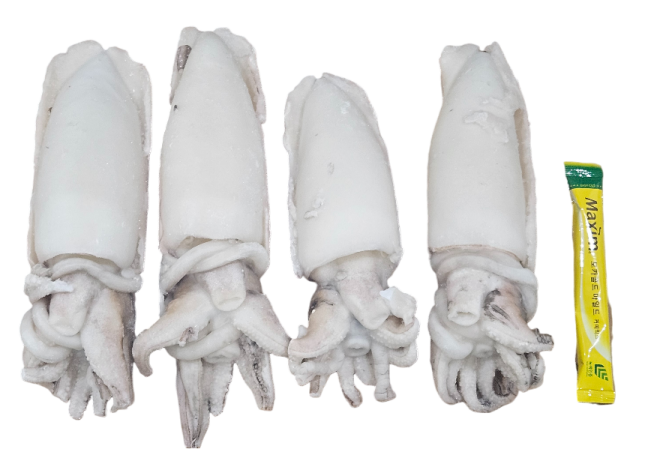 갑오징어/갑살 홀클린 300/500 (태국)