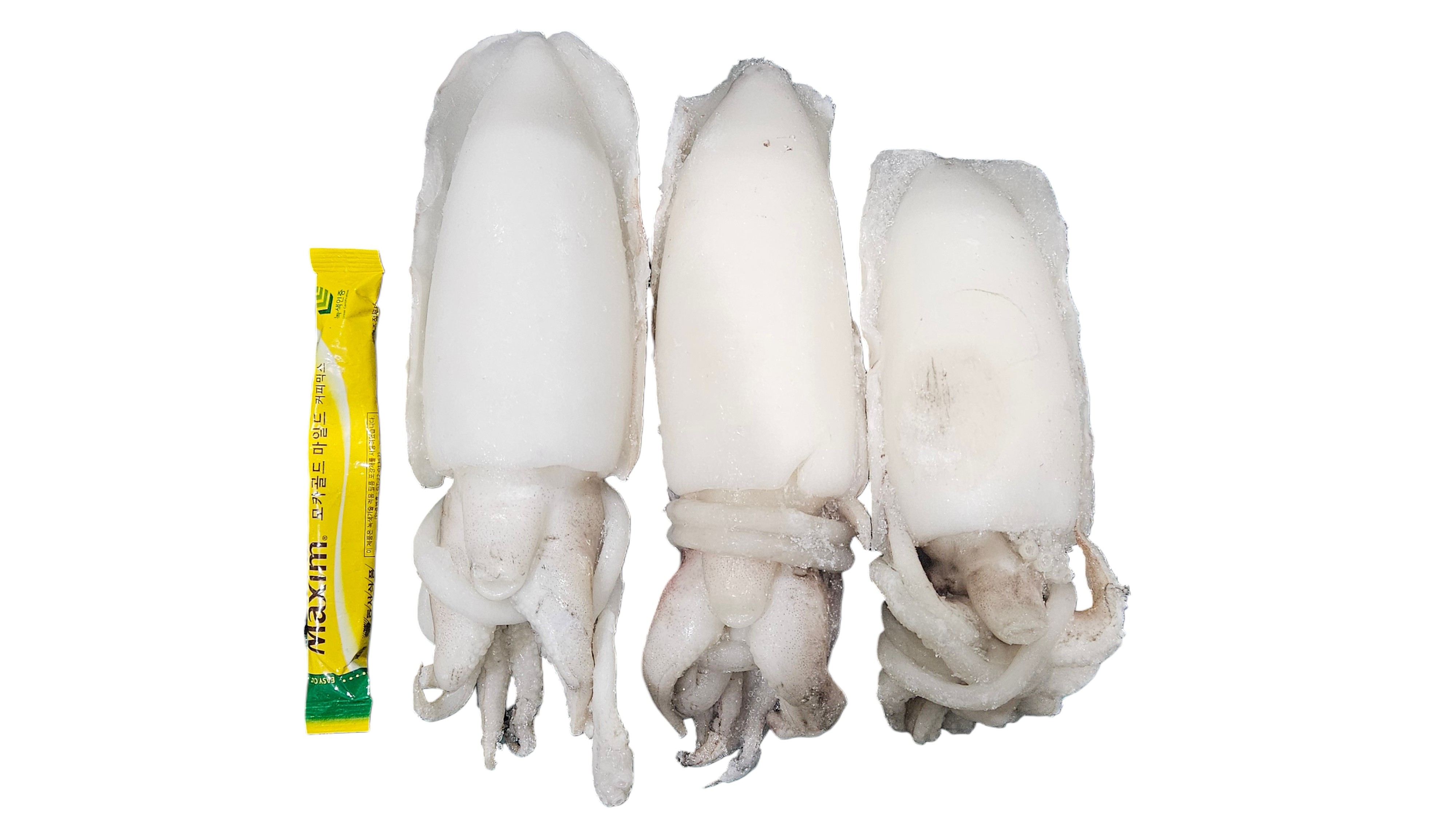 갑오징어/갑살 홀클린 200/300 (태국)