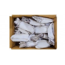 갑오징어/갑살 홀클린 200/300 (태국)