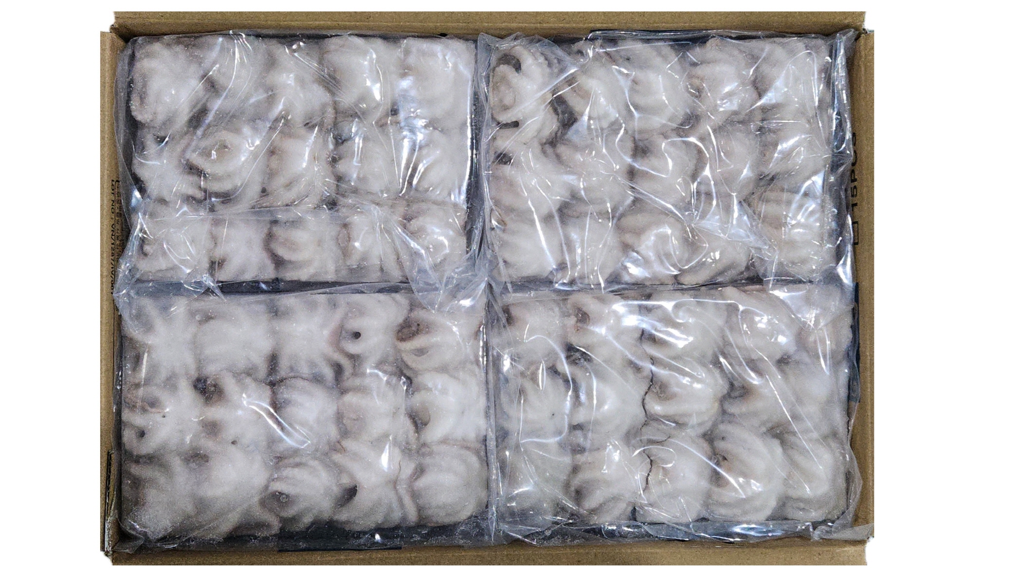 냉동 쭈꾸미 15미 (베트남)