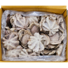 왕쭈꾸미 100/200 (태국)