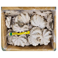 왕쭈꾸미 200/300 (태국)