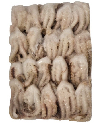 절단쭈꾸미채/ 손질볶음쭈꾸미 M (베트남)