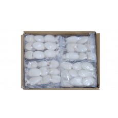 손질 미니 갑오징어 20/40 (베트남, 베이비 이까)