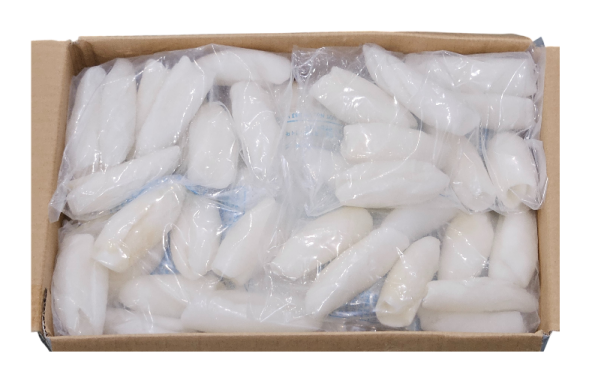 갑오징어 솔방울(솔방울 이까) 40/60