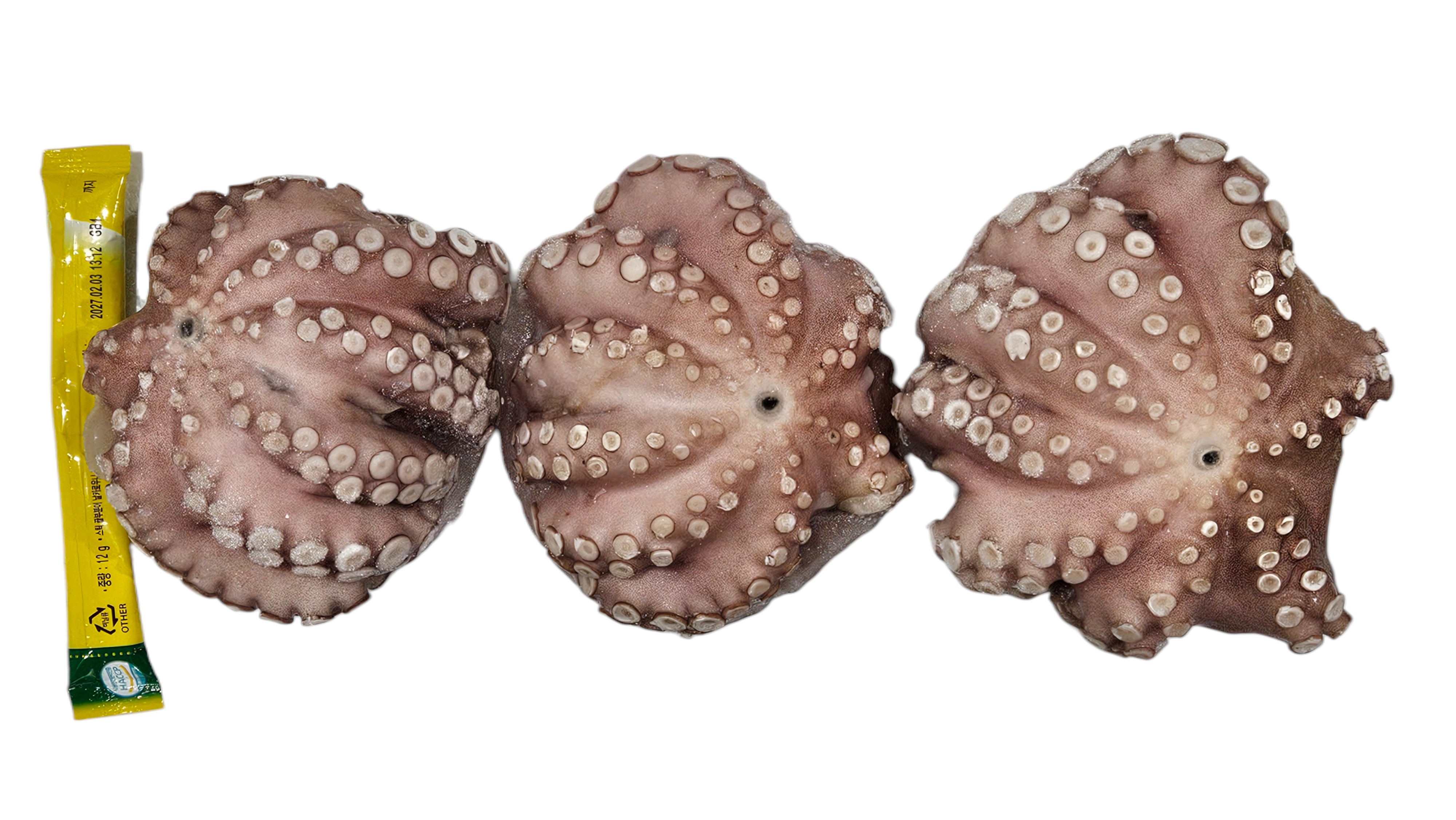 세척문어 300/500 (모리타니아)