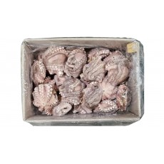 세척문어 300/500 (모리타니아)