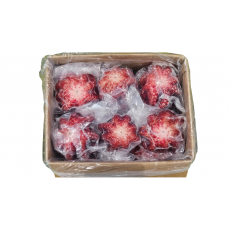 냉동 자숙문어 16미 (필리핀)