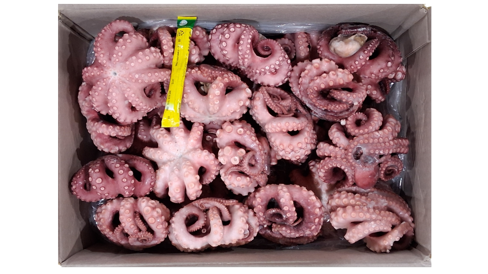 냉동 자숙문어 300/500 (32미) 내외 (모리타니아)