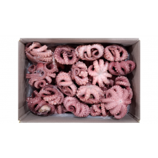 냉동 자숙문어 300/500 (32미) 내외 (모리타니아)