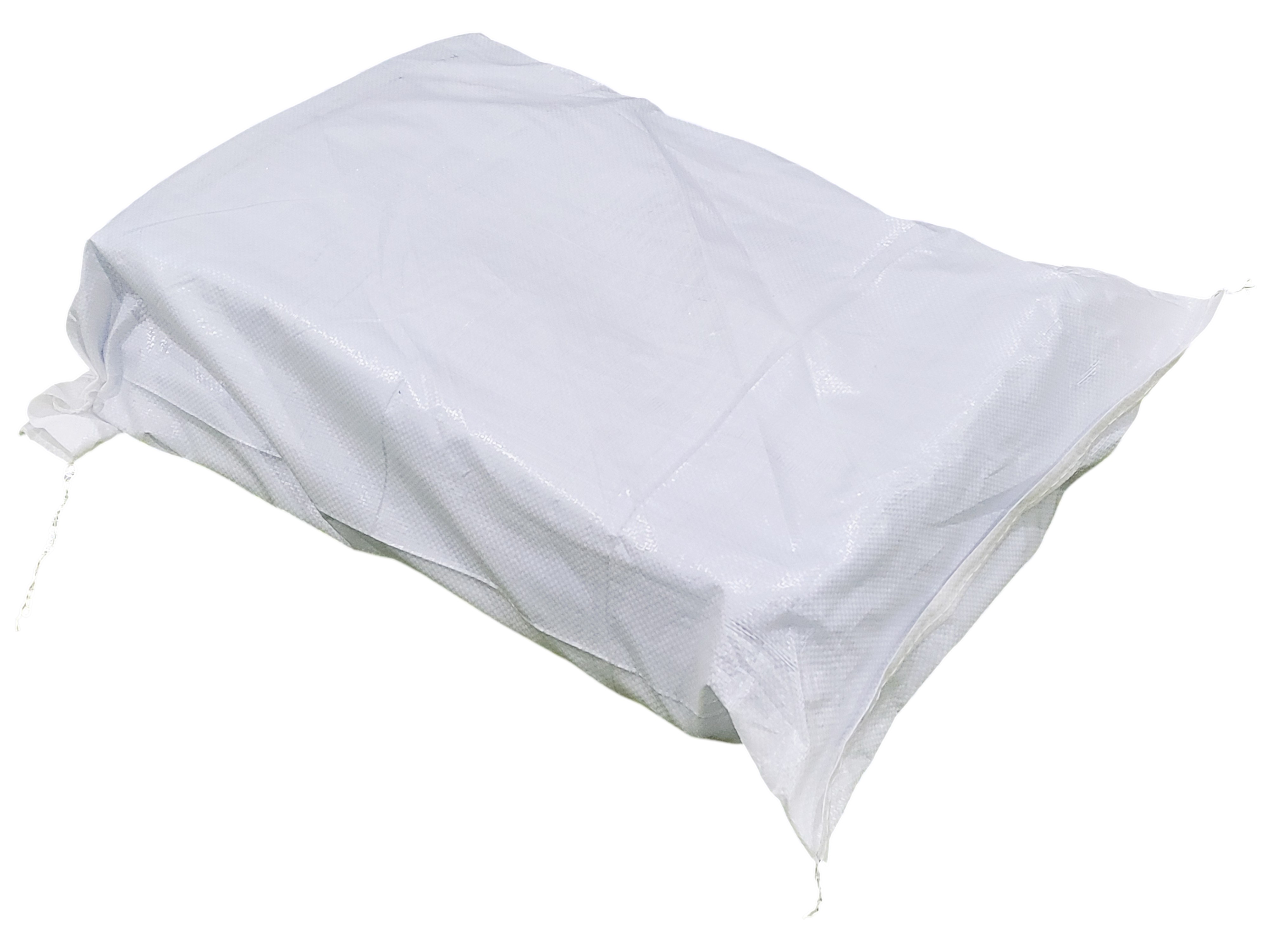 무라 귀 (대왕오징어 귀, 페루) 1000up