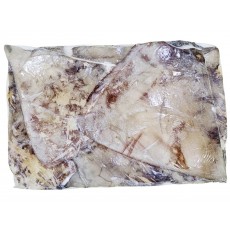 무라 귀 (대왕오징어 귀, 페루) 1000up