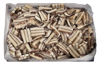 무라 귀채 (칼집O) / 페루 / 대왕오징어 귀채 / 귀칼집채