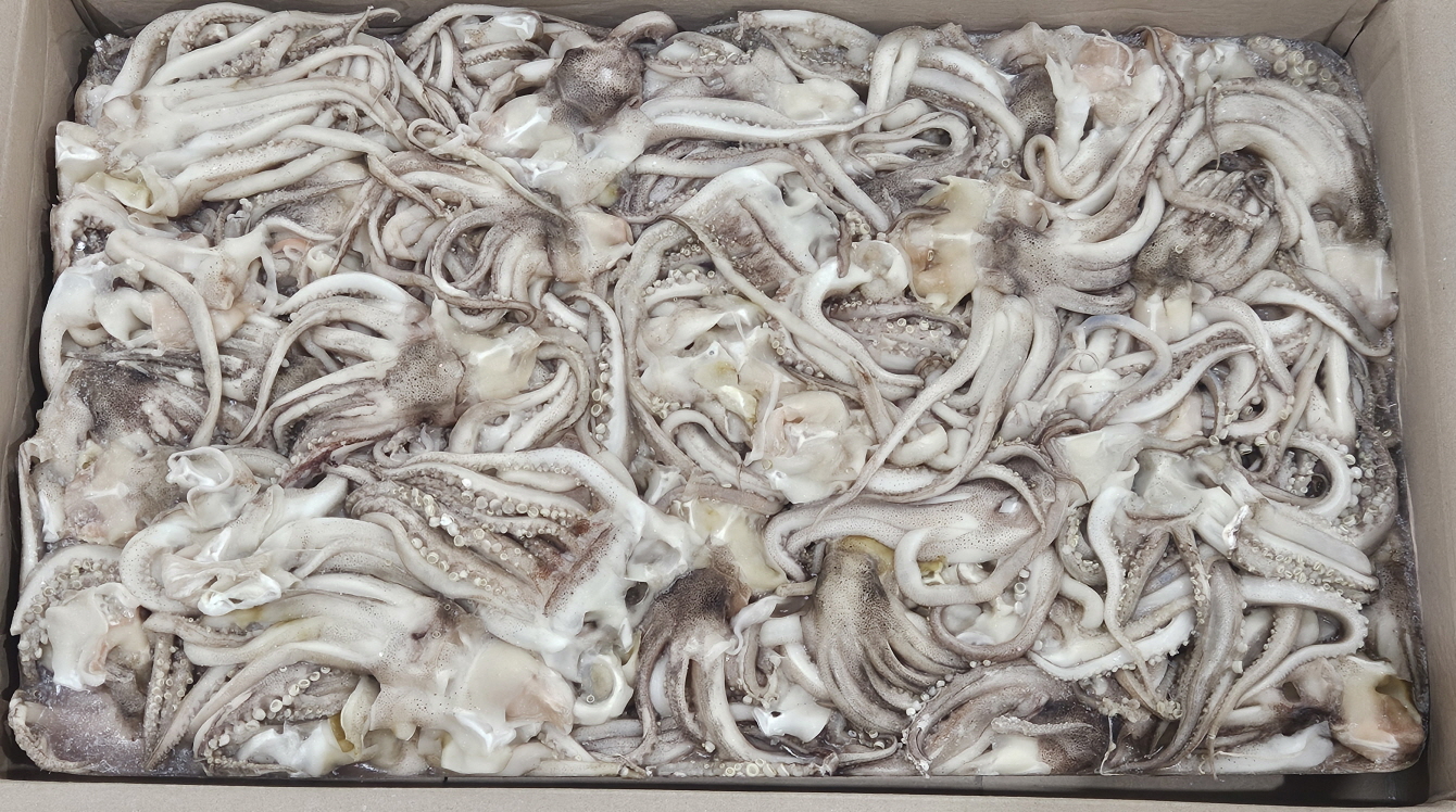 오징어다리/족 (8kg, 원양산)