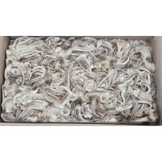 오징어다리/족 (8kg, 원양산)