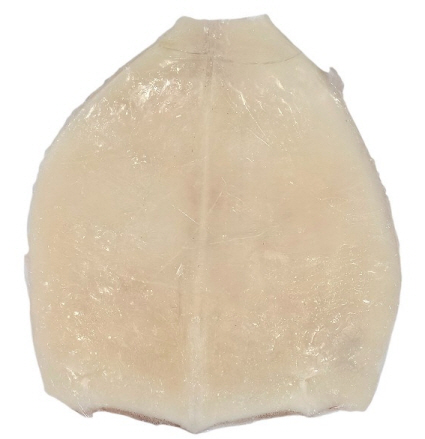 오징어 몸살 (2.8kg, 원양산)