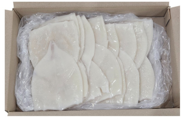 칼집 오징어 몸살 (2.8kg, 원양산)