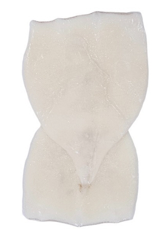 칼집 오징어 몸살 (2.8kg, 원양산)