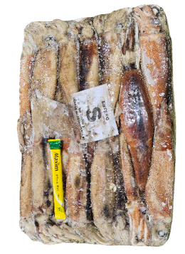 냉동 오징어 S (200/300, 11.5k, 아르헨티나)